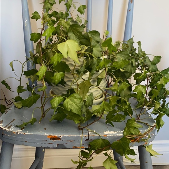 Meet your Posher, Michelle - Picture 1 of 1